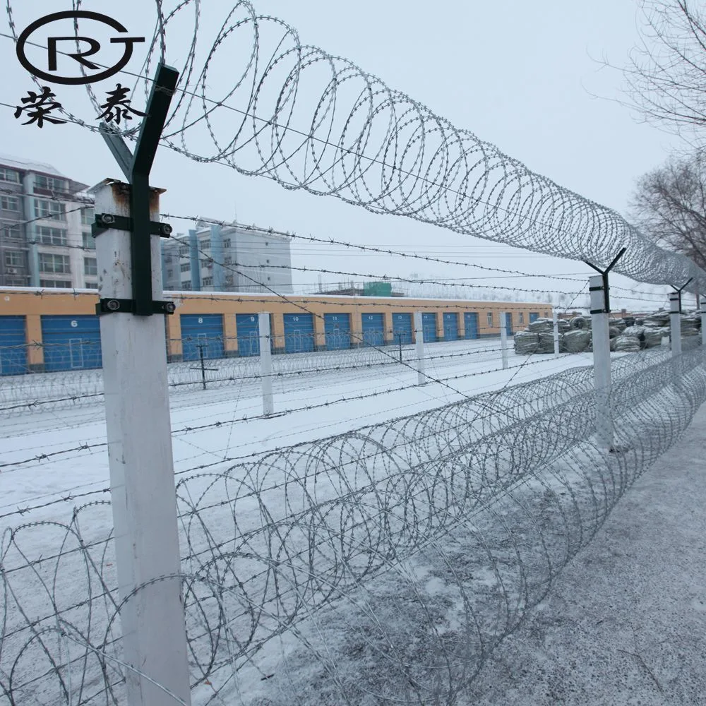 Electrical Razor Blade Barbed Wire Concertina Barbed Wire for Fence