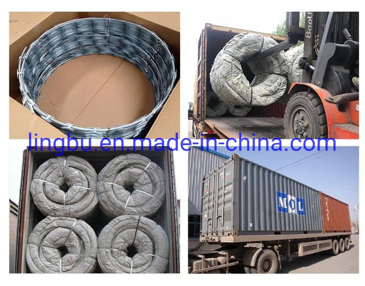 Wholesale Price Single Concertina Razor Wire Coil for Security Barrier