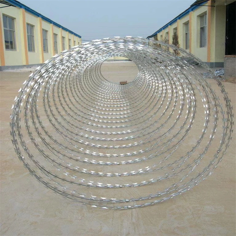 Hot-DIP Galvanizing Thorn Rope /Metal Wire Mesh/Galvanized Blade Thorn Rope