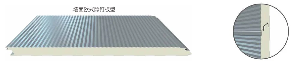 No Dust No Poison No Static Electricity Insulated PU/PIR Sandwich Panel for Cleanroom Laboratory Special Plate