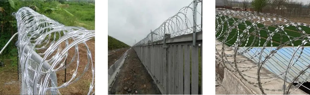 Wholesale Price Single Concertina Razor Wire Coil for Security Barrier