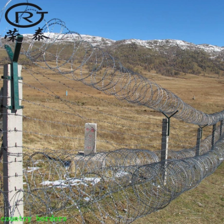 Electrical Razor Blade Barbed Wire Concertina Barbed Wire for Fence