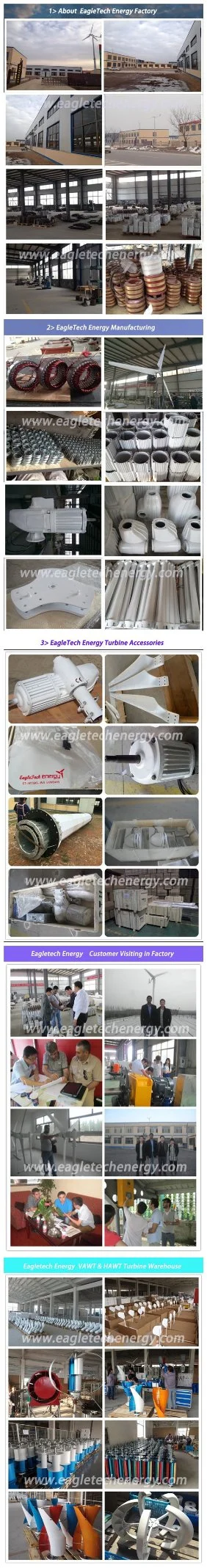 2kw+600W High Efficiency Wind Solar Power Hybrid System (2.6KW) Home Use Wind Power Generator Wind Turbine and Solar Power System Hybrid Power