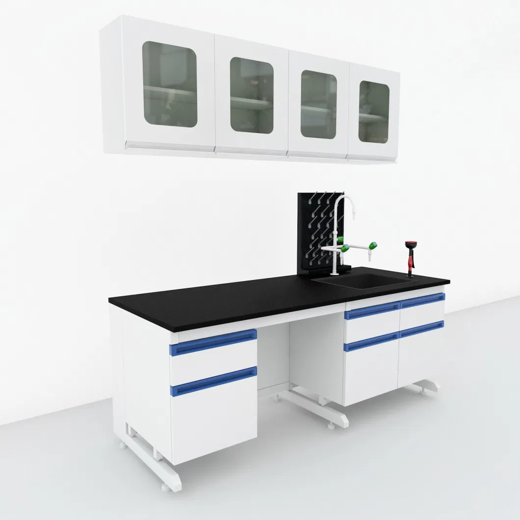 Chemical Resistance Epoxy Reisn Countertop Steel Casework Laboratory Cabinet for Lab