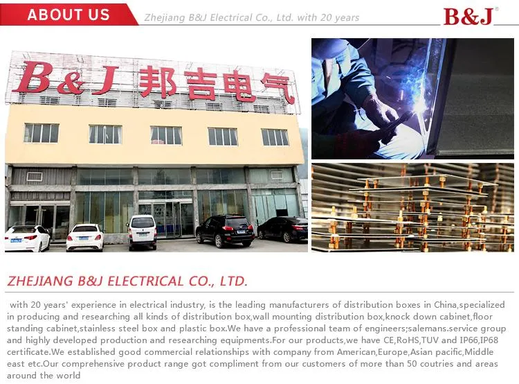 IP54 Distribution Board/Electrical Panel Board