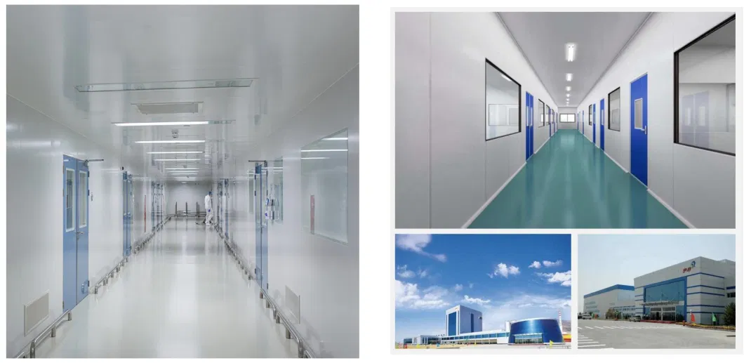 50mm/75mm Rockwool/Aluminum Honeycomb/Paper Honeycomb Cleanroom Panel for Hospital/Pharmaceutical/Food/Electronic Workshop