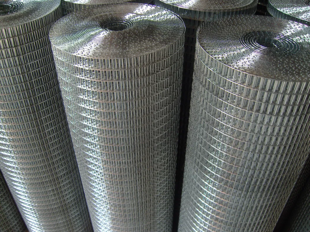 SGS ASTM Gi Electro Galvanized Welded Wire Mesh Panel