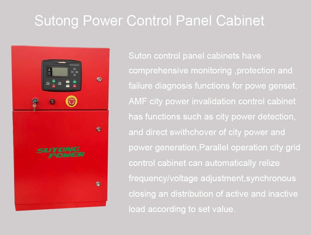 Smartgen Control Panel Cabinet for Diesel Generator