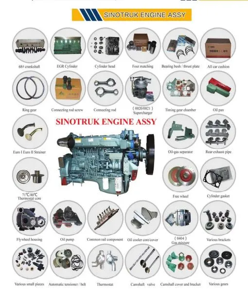 Sinotruk Truck Parts Wg1671110111 Panel for Truck Body Parts