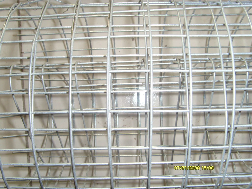 SGS ASTM Gi Electro Galvanized Welded Wire Mesh Panel