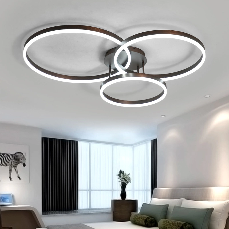 Drop Black Ceiling Light Panels Ring Ceiling Lamp for Indoor Home Lighting (WH-MA-95)