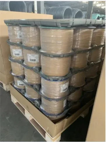 China Made High Quality/High Grade Black Anneal Wire &Steel Wire Rope for Sale