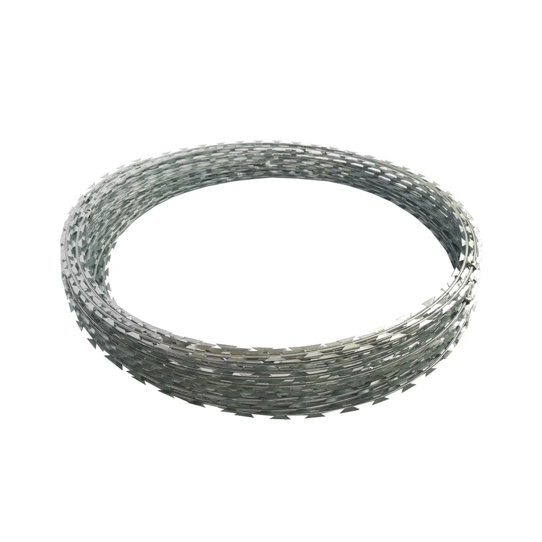 Bto-22 Galvanized Razor Wire Coils Concertina Barbed Wire for Security Application