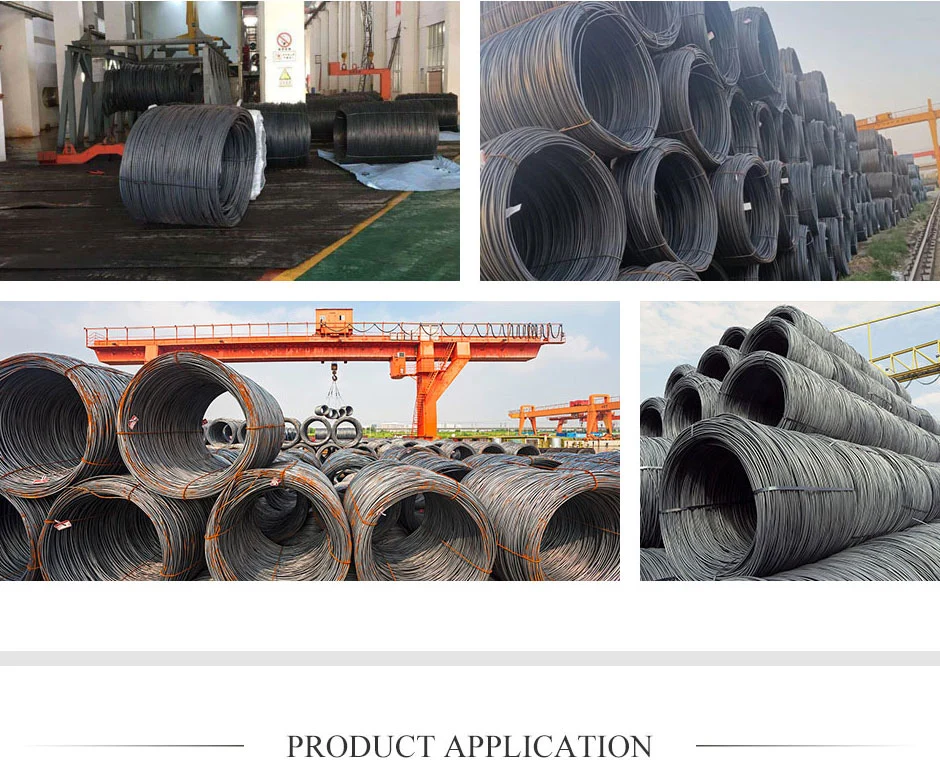 Hot/Cold Rolled 5.5mm 6.5mm Q195 Q235 Hot Dipped Galvanized Low Carbon Alloy Iron Steel Wire Rod for Rope Required
