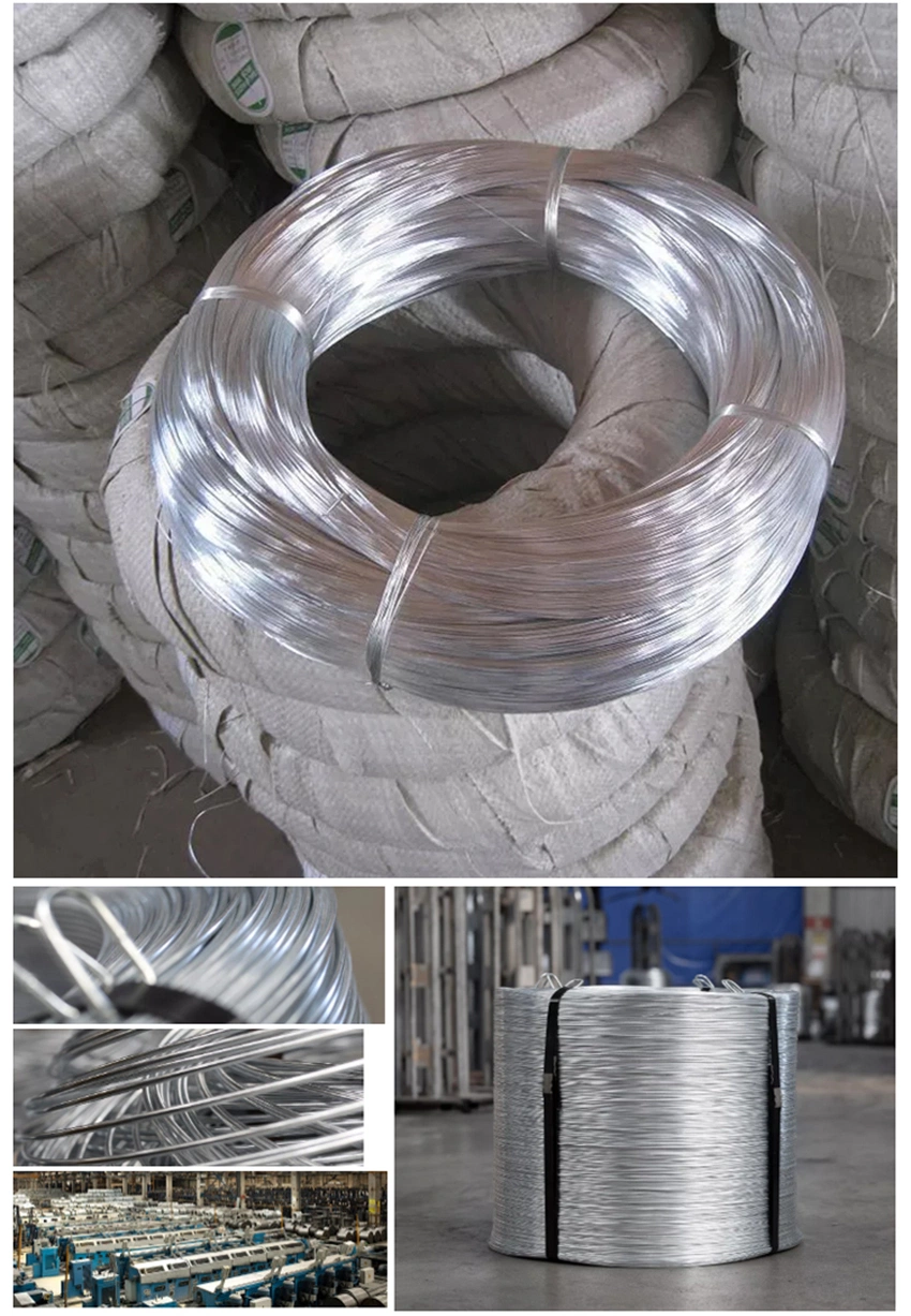 Hot Dipped Galvanized Steel Wire Rope Fiber