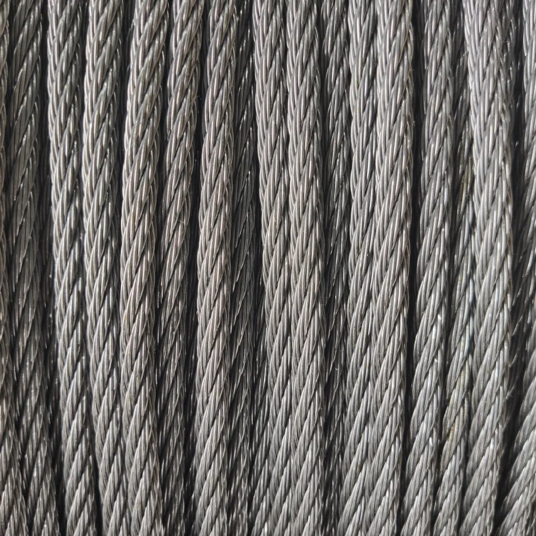 High Quality 7X19 4mm 6mm Heavy Weight Gym Fitness Steel Cable TPU Coated Flexible Steel Wire Rope