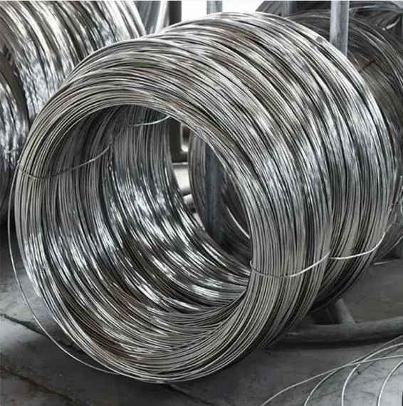 Customs Security/0.25 0.5 0.7 3.0/Q195 Low Carbon Steel Wire/Galvanized Spring Wire