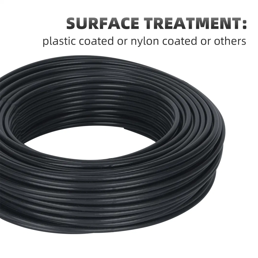 Black PVC Nylon Coated Stainless Steel Wire Rope Supplier Manufacture