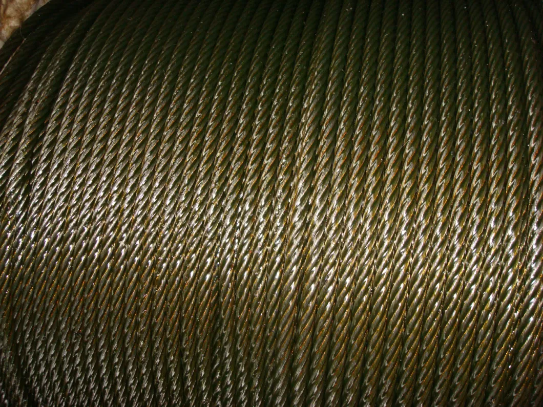 Golden Yellow Grease Electric Galvanized 6X36sw+Iwrc Steel Wire Rope with Oil