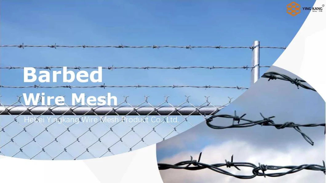 Factory Directly Barbed Wire Roll Galvanized/PVC Coated Binding Wire Rope Anti-Corrosion Mesh Broken Dra Cattel Field Fence Stainless Steel Concertina Wire