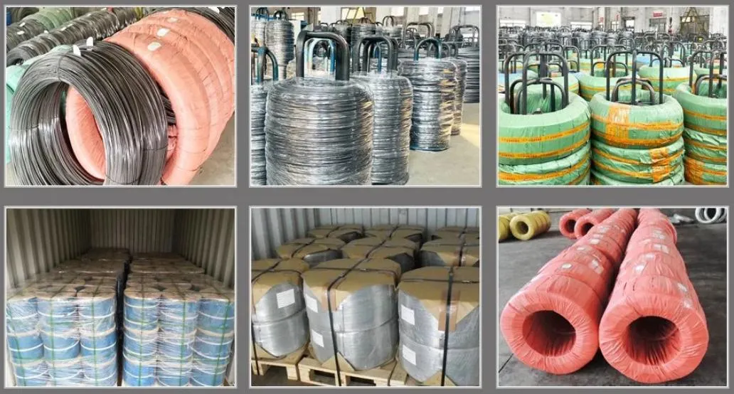 Customs Security Iron Wire Supplier Galvanized Steel Wire Manufacturer for Construction