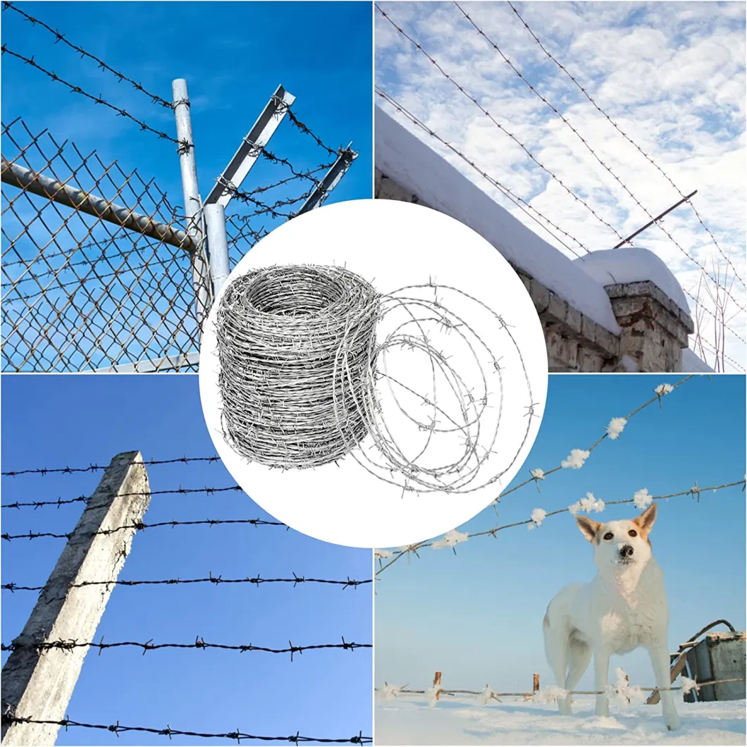 Hot DIP Galvanized Blade Barbed Rope Barbed Steel Wire Double Helix for Anti Climb Knife Proof Barbed Cage Prison Fence