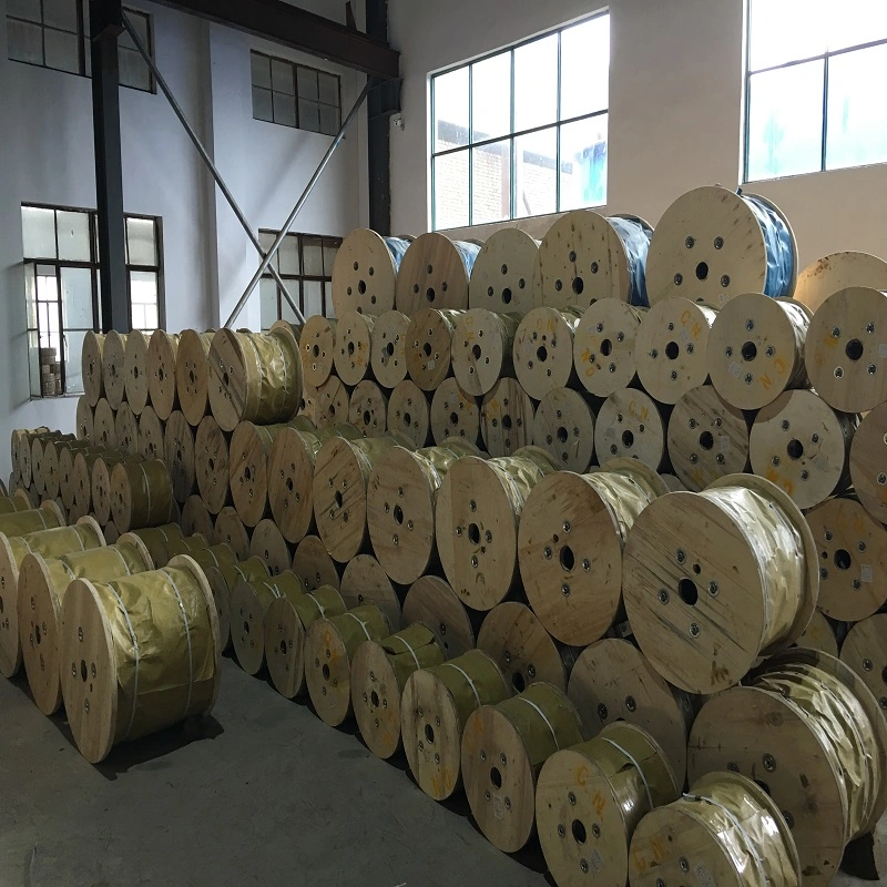 Plastic Coated Galvanized All Sizes Steel Wire Rope for Blance Wire to Well