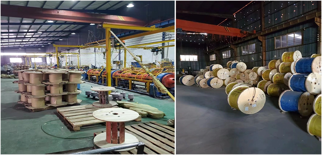 AISI 304 316 Stainless Steel Cable Wire Rope Manufacturer in China