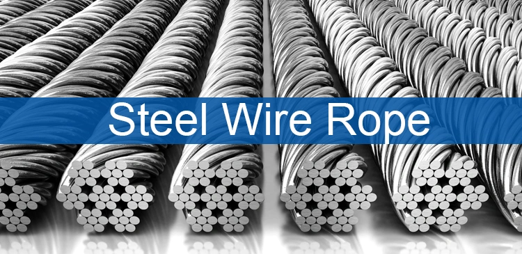 1-10mm EU Standard Steel Wire Rope Sling Galvanized High Strength Stainless Steel Wire Rope