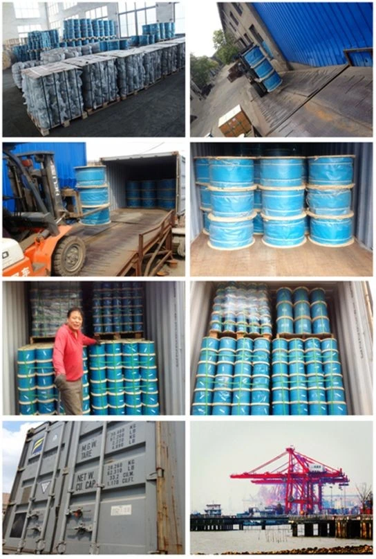 Electro Galvanized Steel Wire Rope (6X7+FC)