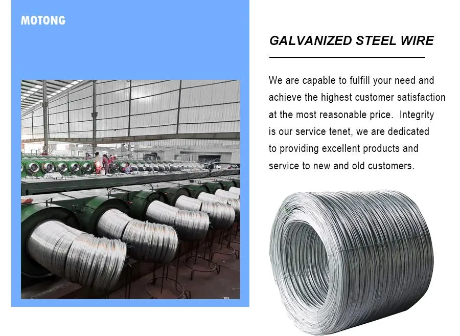 Galvanized Steel Wire Rope Fittings for Fitness Equipment Hooks