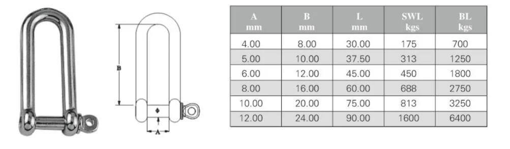 Stainless Steel Long D Shackle D Type Shackle Sling Accessories Steel Wire Rope Sling Chain Sling