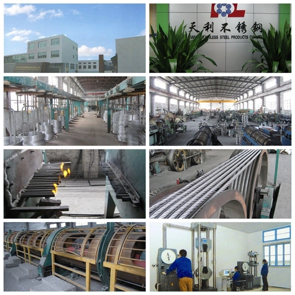 Stainless Steel Wire Rope Used for Mineral &amp; Energy Use