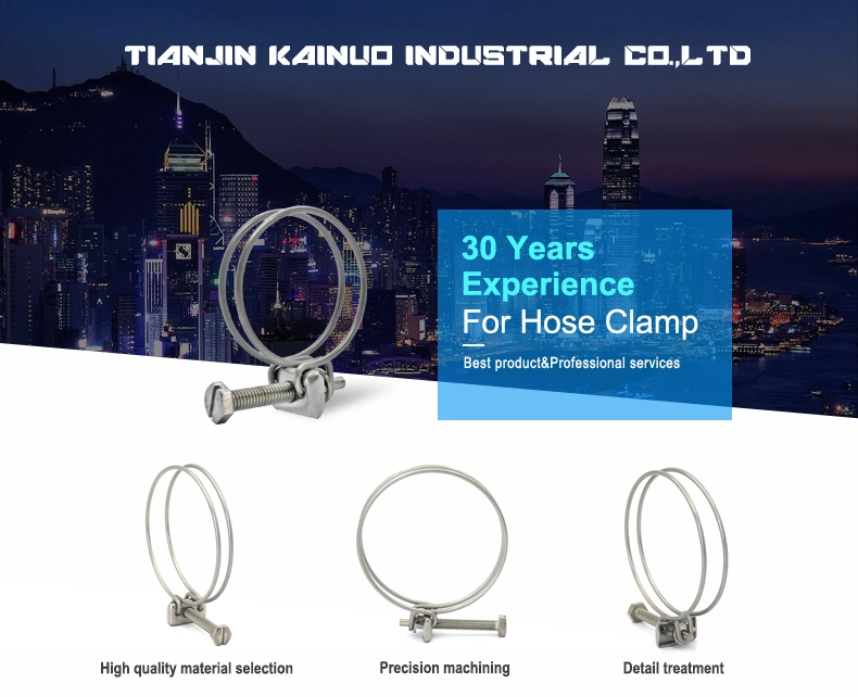 Stainless Steel French Double Wires Rope Spring Hose Clip