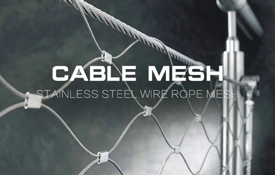 Hot Sale Web Net Rope Mesh Stainless/Flexible Stainless Steel Net/Wire Mesh for Growing Plants