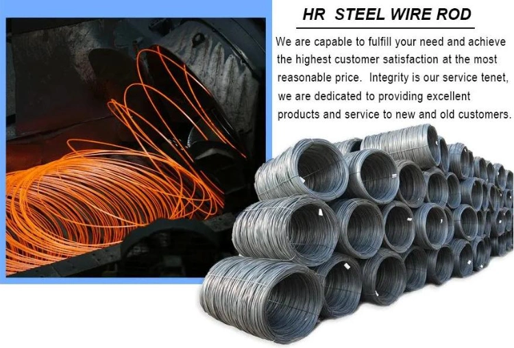 High Carbon Steel Galvanized Wire Cable 7X7 Steel Wire Rope 18 Gauge Hot-Dipped Zinc Coated Wire