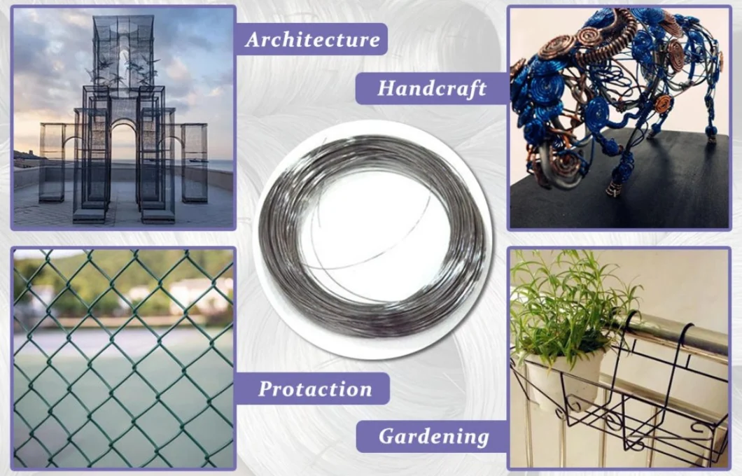 Customs Security Iron Wire Supplier Galvanized Steel Wire Manufacturer for Construction