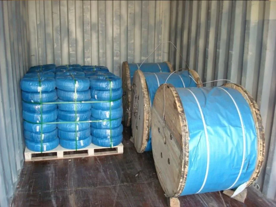 Electro Galvanized Wire Rope Used in Lifting 6X19 with Fibre Core and Steel Core