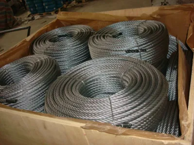 Kleine Verpackung Verzinktes Stahldrahtband, Länge: 10m, 50m für Supermarket Lieferant