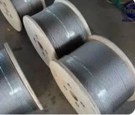 5/32′′ PVC-beschichtete Drahtseilschlingen aus Edelstahl mit Öse Schlaufe Für Das Anheben Des Seilzugs