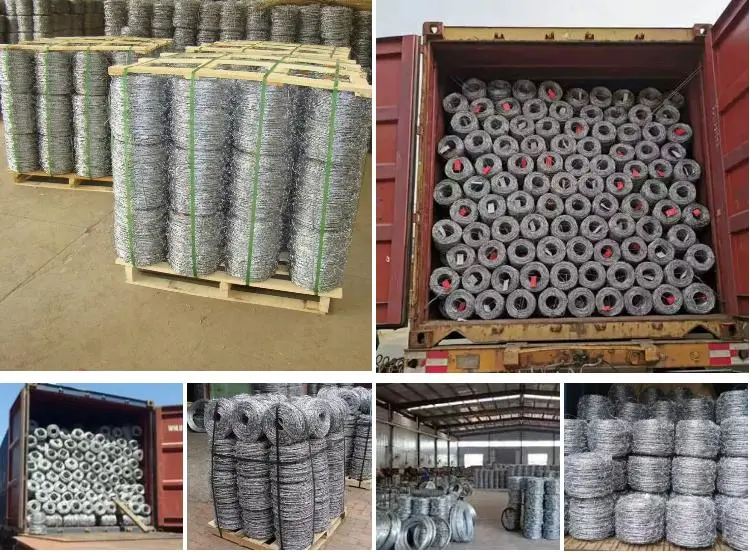 Factory Directly Barbed Wire Roll Galvanized/PVC Coated Binding Wire Rope Anti-Corrosion Mesh Broken Dra Cattel Field Fence Stainless Steel Concertina Wire