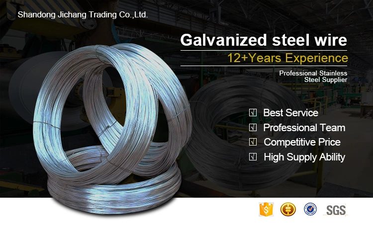 AWG8 to 26 Galvanized Gi Wire Hot Dipped Fastener Wire Rope 1.8 mm Galvanized Wire Zinc Coated Electro Iron Steel Wire