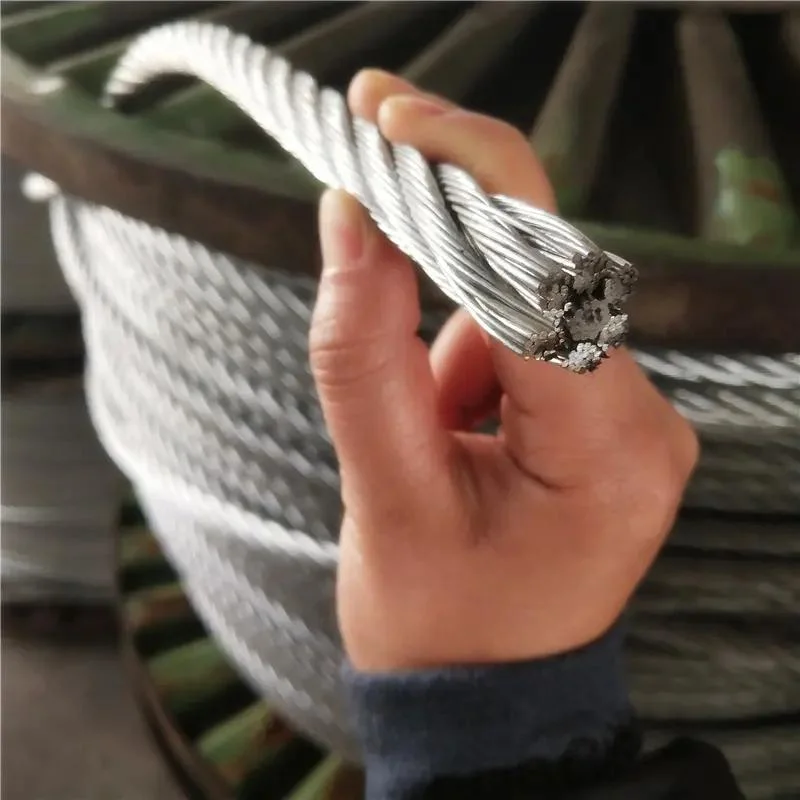 6X25fi FC/Iwrc Core Steel Cable Rope Steel Wire Rope Galvanized 22mm