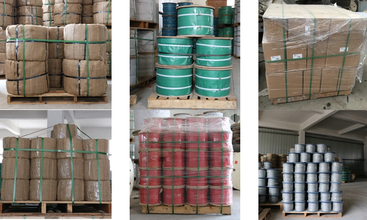PVC/PE Nylon Coated Stainless Steel Wire Rope/Cable