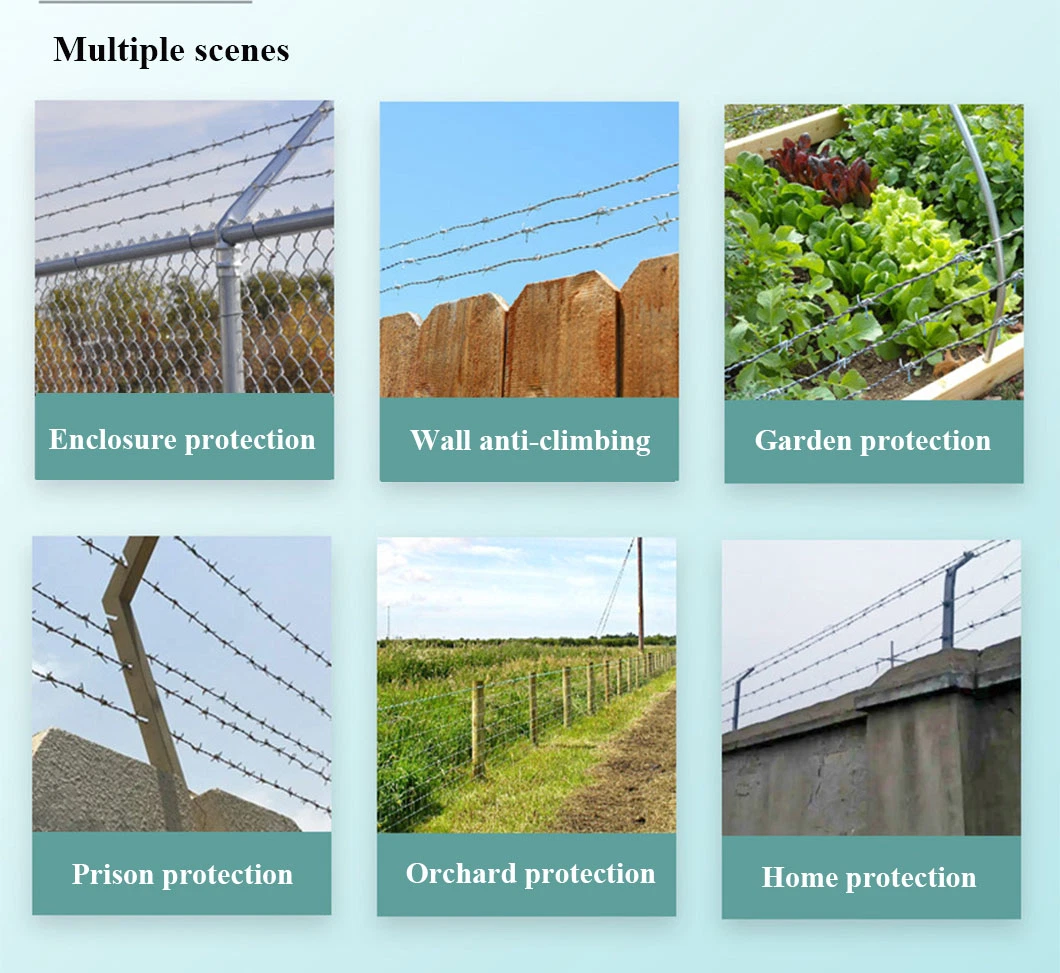 Stainless Steel Barbed Wire Hot-DIP Galvanized Barbed Wire Anti-Climbing Barbed Wire Thorny Rope