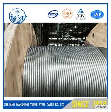 Galvanized Steel Wire Rope for Lifting Sling