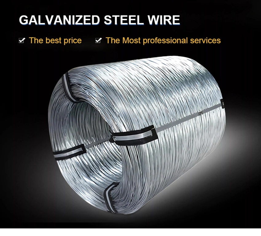 Hot DIP Galvanized Steel Wire Rope Iron Wire Gi Steel Wire Rope 6mm Galvanized Steel Wire 3.2mm Galvanized Steel Wire