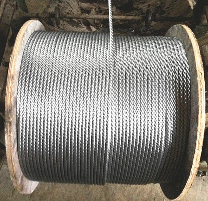 6mm Hot DIP Galvanized Steel Wire Rope for Export