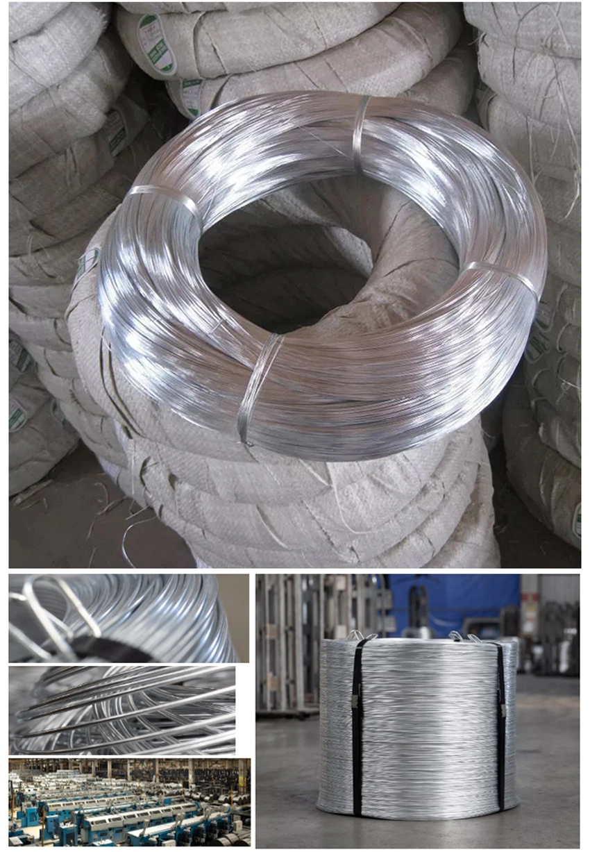 Hot DIP Galvanized Steel Wire Rope Iron Wire Gi Steel Wire Rope 6mm Galvanized Steel Wire 3.2mm Galvanized Steel Wire