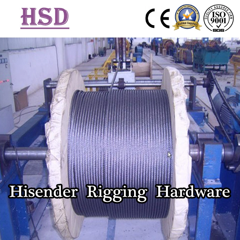 Professional Manufacturer of Stainless Steel304/316 Wire Rope